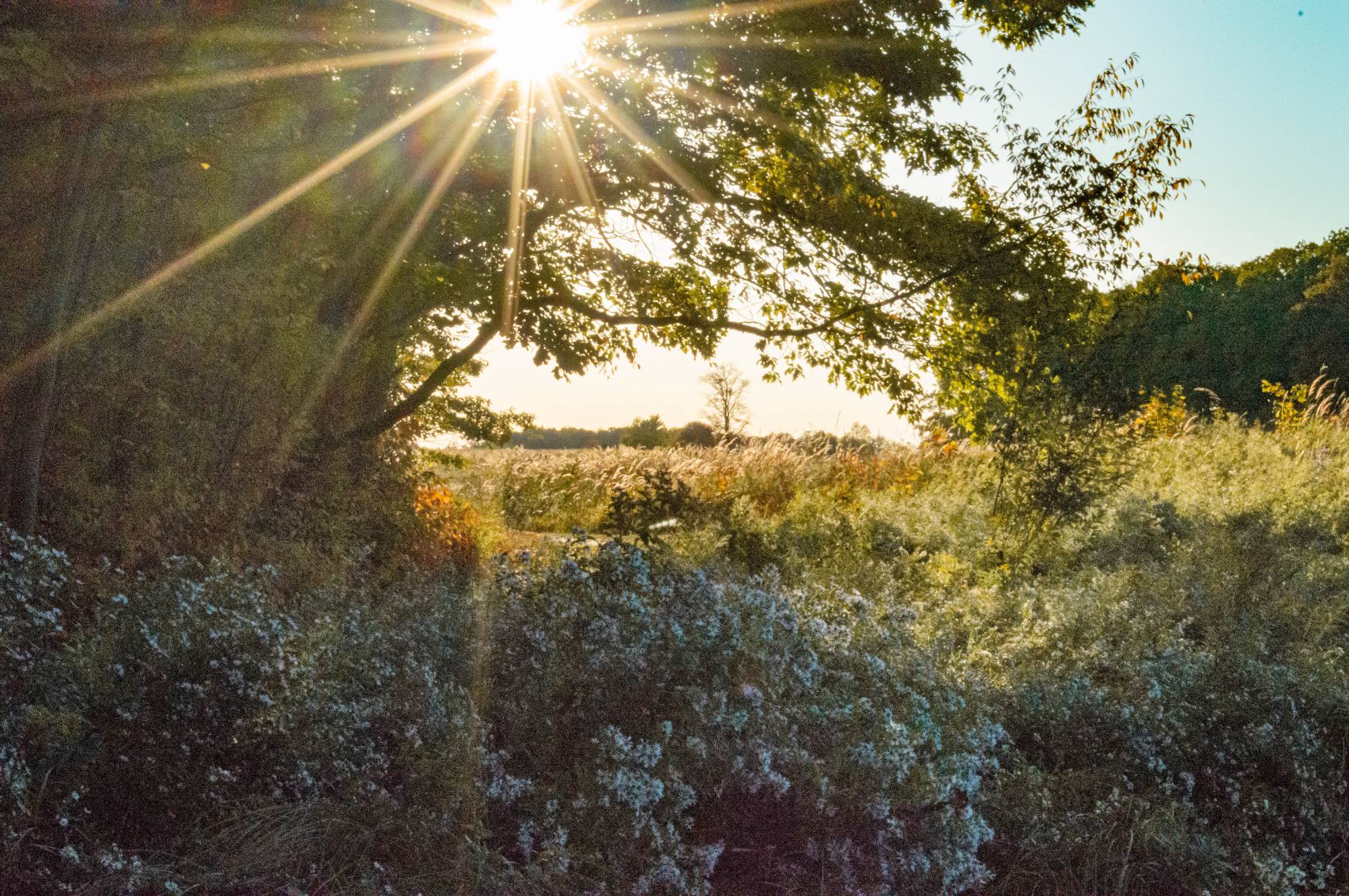 sunshine while hiking